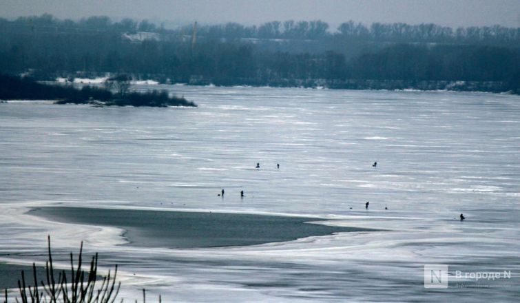 Аномальное потепление в январе: фоторепортаж с улиц Нижнего Новгорода - фото 16