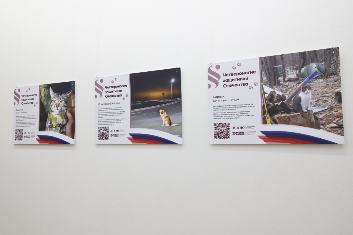 Выставка о животных в зоне СВО открылась в нижегородском Заксобрании - фото 1