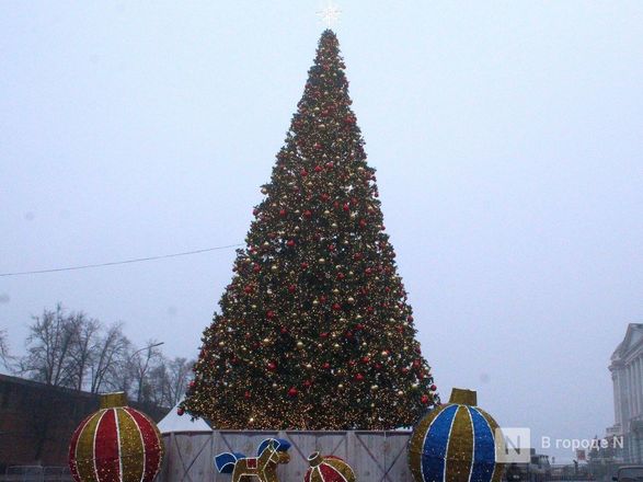 Главную новогоднюю елку нарядили на площади Минина и Пожарского - фото 5