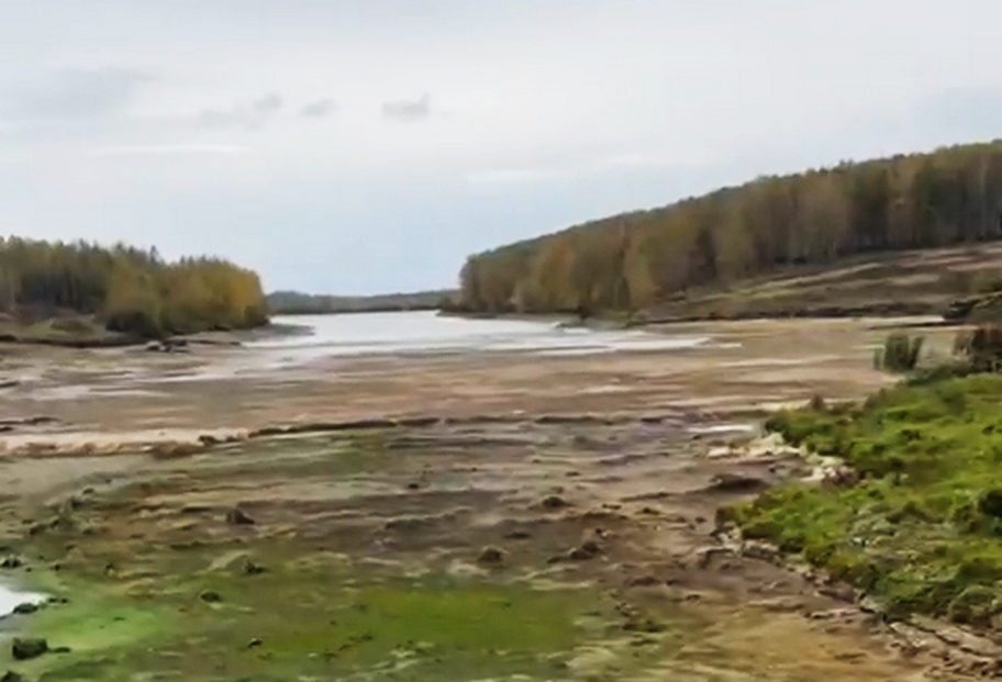 Ефимьевское озеро в Богородском районе решили почистить впервые за 41 год - фото 1