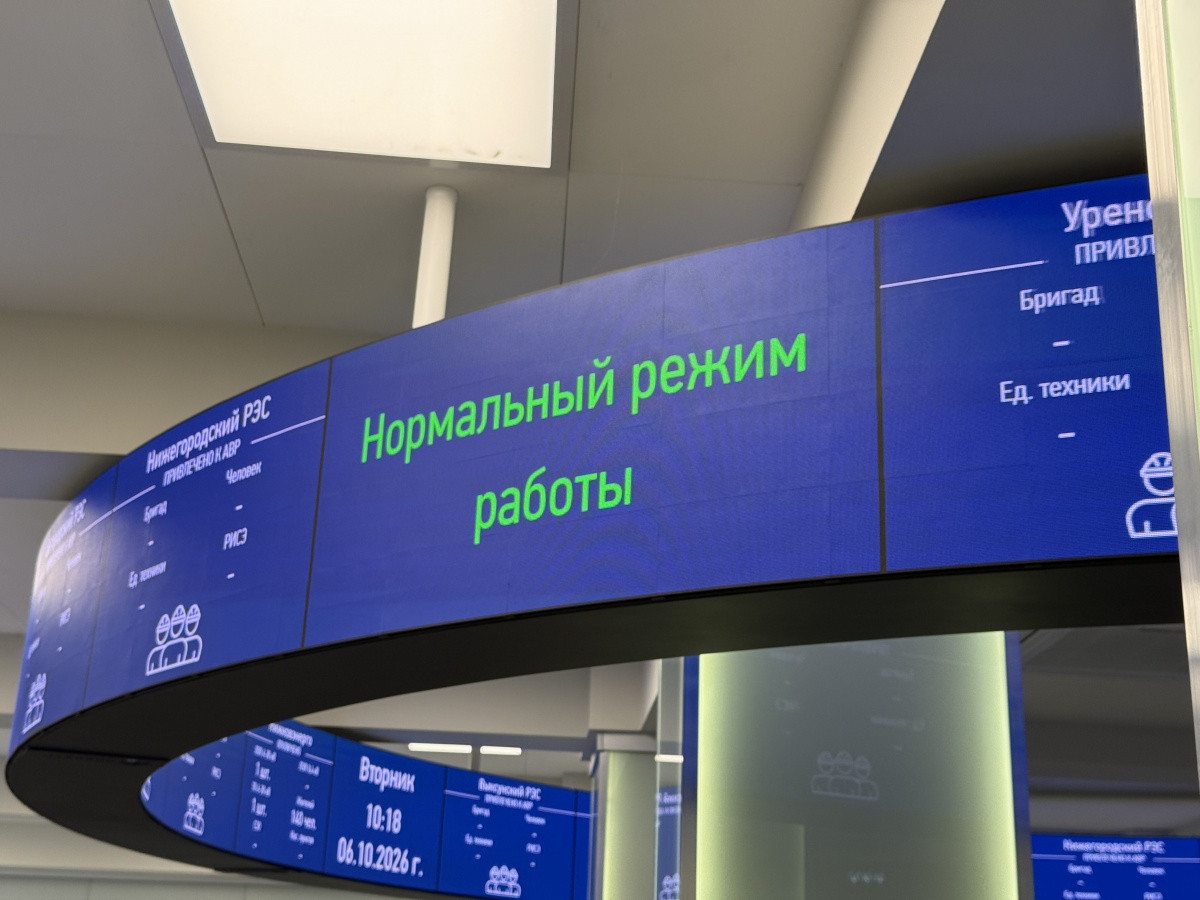 Специалисты «Нижновэнерго» провели профориентационную встречу с лицеистами - фото 1